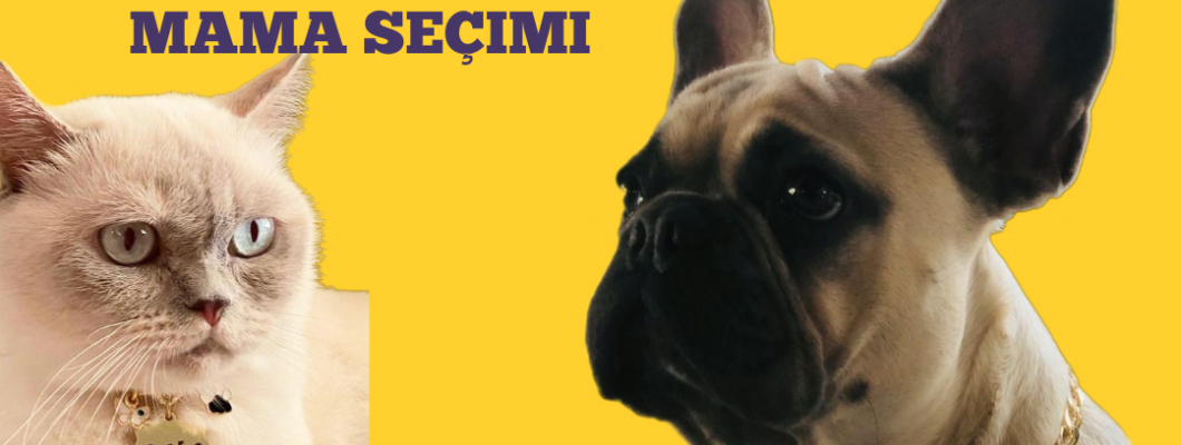 En Uygun Kedi ve Köpek Maması Seçimi