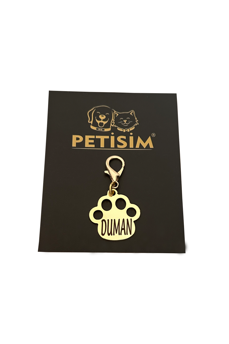 İsimli Pati Kedi Künyesi | Kedi İsimlik