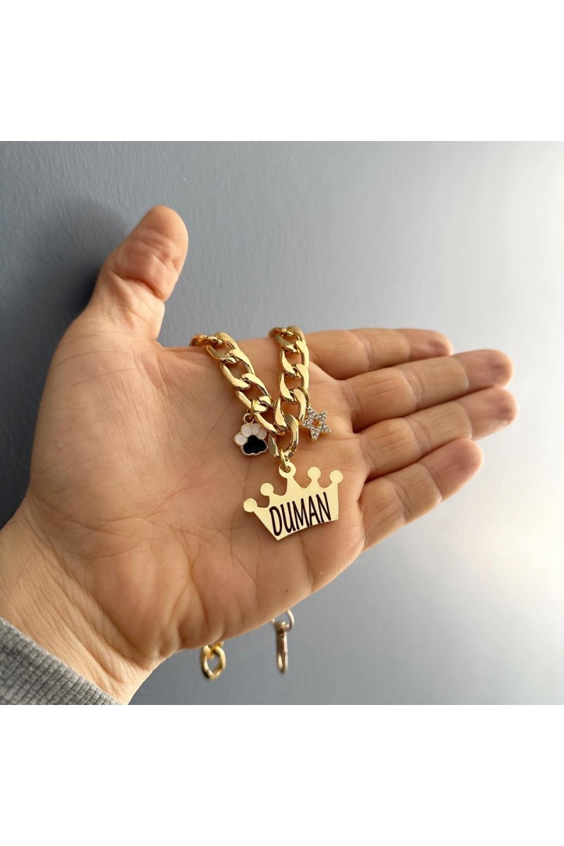 İsimli Kedi Tasması | İsimlik