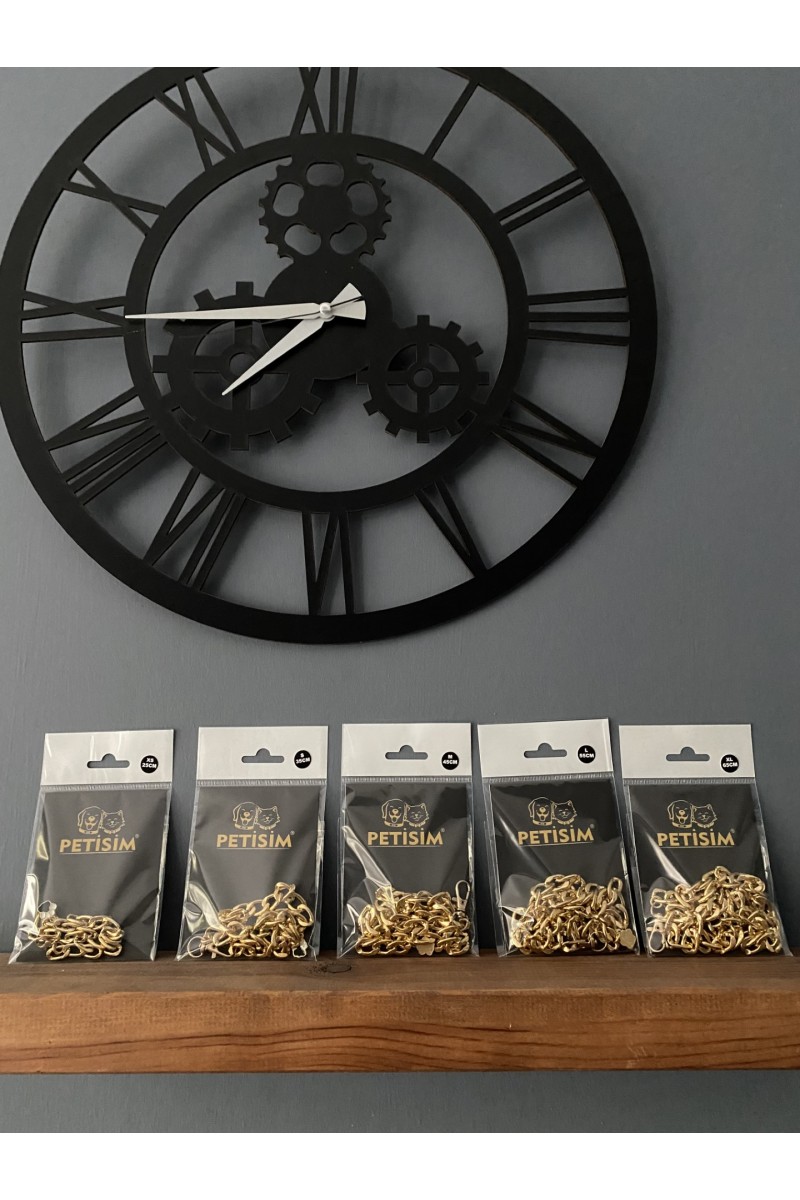 Köpek Boyun Zincirleri